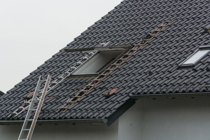 Roof Window Installation in Marin County, CA